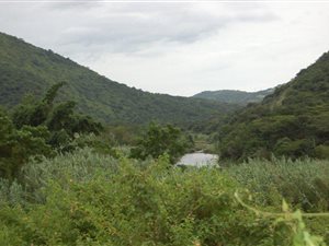 127 ha Farm in Port Shepstone