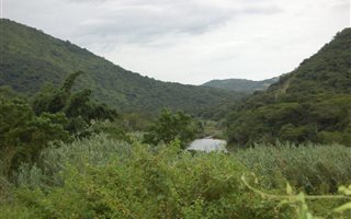 127 ha Farm in Port Shepstone