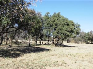 721 m² Land available in Bela-Bela (Warmbaths)