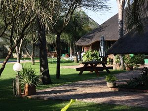 25 ha Farm in Louis Trichardt