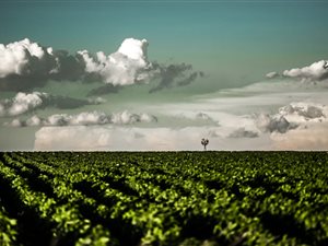 717 ha Farm in Kinross