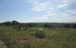 17 ha Agricultural Holding in Mandini