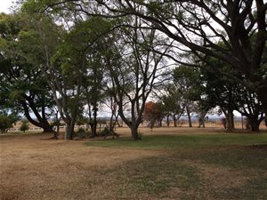 22 ha Farm in Leeukuil AH
