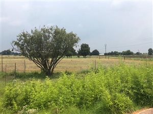 1 ha Farm in Sundra