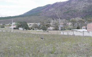 600 m² Land available in Caledon
