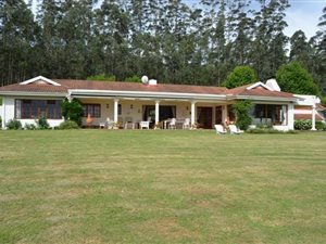 20 ha Farm in Currys Post