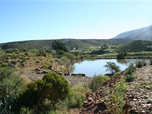 45 ha Farm in Ladismith