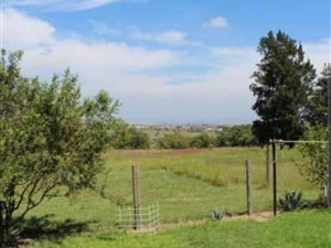 1 Bed Garden Cottage in Laezonia