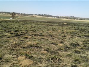 1250 m² Land available in Panorama