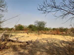 2 ha Farm in Onderstepoort