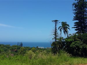 823 m² Land available in Margate