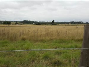 4.5 ha Land available in Delmas
