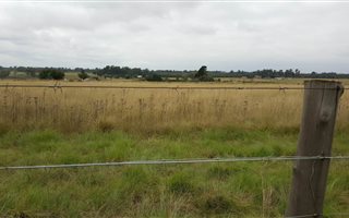 4.5 ha Land available in Delmas