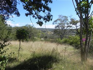 11 ha Farm in Nelspruit