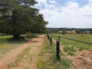 9 ha Farm in Rietfontein