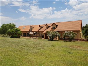 9 ha Farm in Rietfontein
