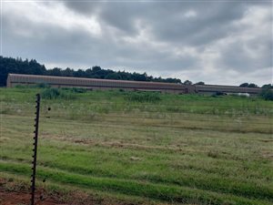 10 ha Farm in Doringkloof