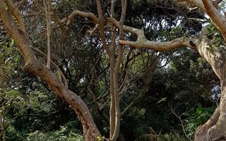 1241 m² Land available in Mtwalume
