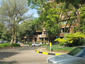 222 m² Office Space in Parktown