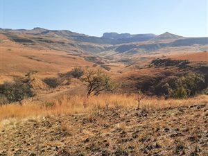 980 ha Farm in Ladysmith