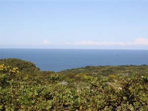 359 m² Land available in Dana Bay