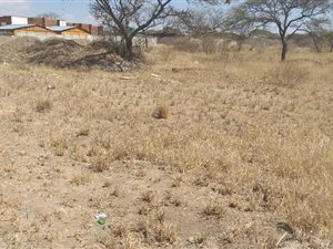 7672 m² Land available in Ivy Park
