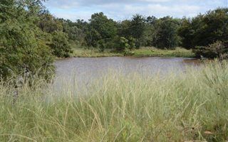 1156 ha Farm in Middelburg Central
