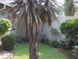 2 Bedroom Simplex in Northwold