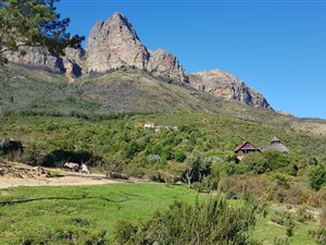 21.4 ha Farm in Wellington Central