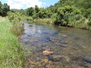 650 ha Farm in Lydenburg