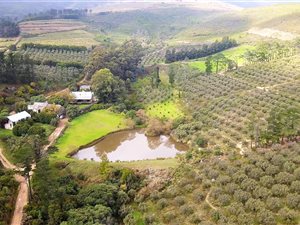 90 ha Farm in Franschhoek
