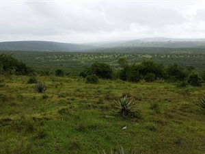 414 ha Farm in Alice