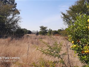 1 ha Land available in Randjesfontein