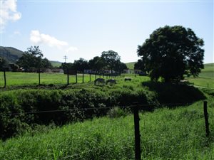 1242 m² Land available in Eshowe