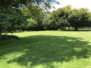 1640 m² Land available in Bryanston