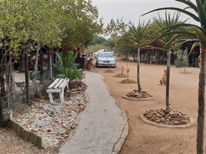 18.3 ha Farm in Elandsrand