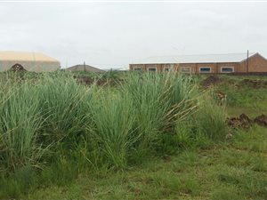 4759 m² Land available in Middelburg