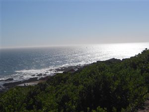 1192 m² Land available in Beachview