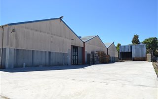 6350 m² Commercial space in Wellington Central