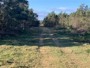 10.7 ha Land available in Little Chelsea