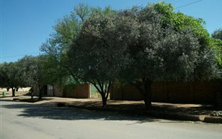 669 m² Land available in Bethulie