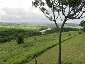 1583 m² Land available in Mtunzini