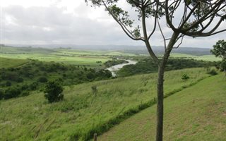 1583 m² Land available in Mtunzini