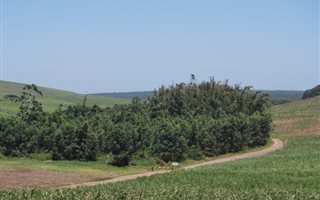1500 m² Land available in Blythedale Beach