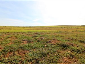 444 m² Land available in Hartenbos