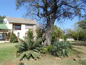21 ha Farm in Cullinan