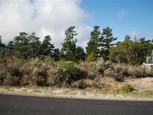 934 m² Land available in Pezula Golf Estate