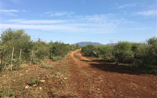 711 ha Farm in Roedtan