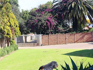 4 Bed House in Kelvin