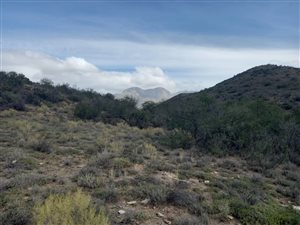 240 ha Farm in Ladismith